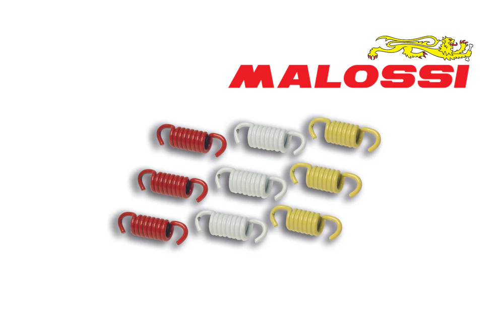 Malossi Racing Clutch Springs For Italjet Dragster 250 Delta Clutch