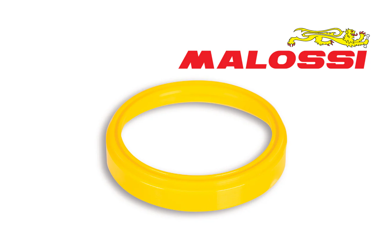 MALOSSI TORSION CONTROLLER VARIATOR SPRING GUIDE FOR ITALJET DRAGSTER 250